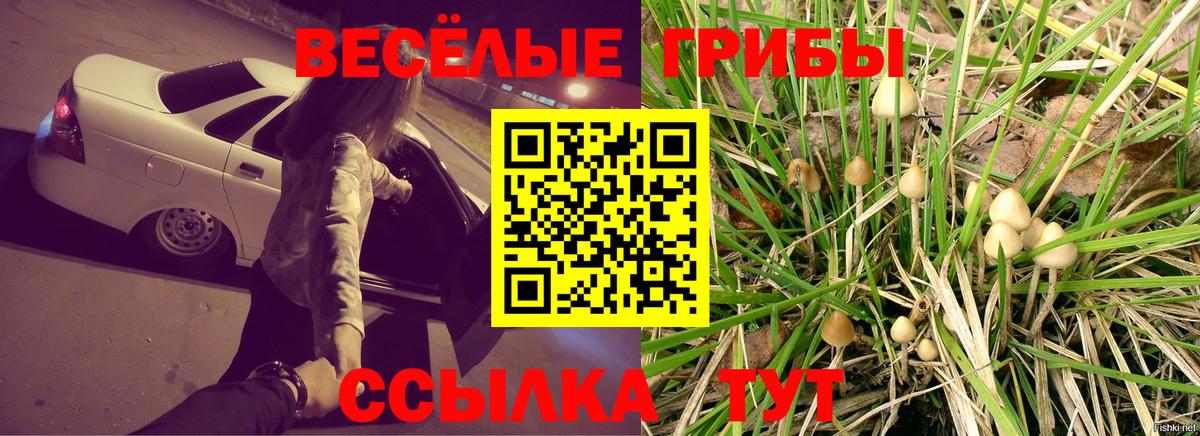 Псилоцибиновые грибы ЛСД  Вход с VPN  Фролово 